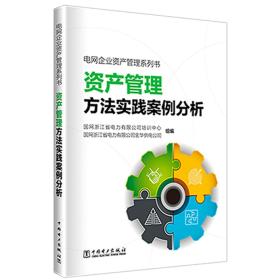 电网企业资产管理系列书——资产管理方法实践案例分析