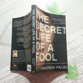 The Secret Life Of A Fool【品相略图 内页干净】现货