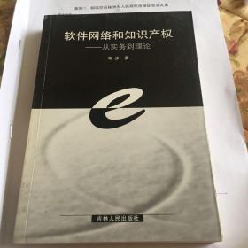 软件网络和知识产权:从实务到理论