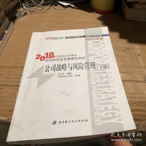 注册会计师2018教材东奥轻松过关1应试指导及全真模拟测试 公司战略与风险管理 上下册