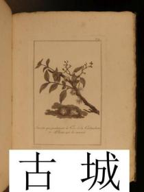 收藏版，极其珍贵  《旅途进入中国和鞑靼》版画与地图，1804年出版，精装