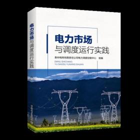 电力市场与调度运行实践  9787519824914中国电力出版社z