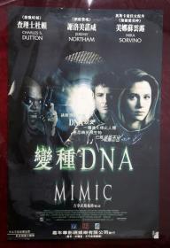 《变种DNA》电影海报，
米拉·索维诺、杰瑞米·诺森、吉安卡罗·吉安尼·主演。
原版荷里活电影巨幅海报 :长100cm x宽 70cm