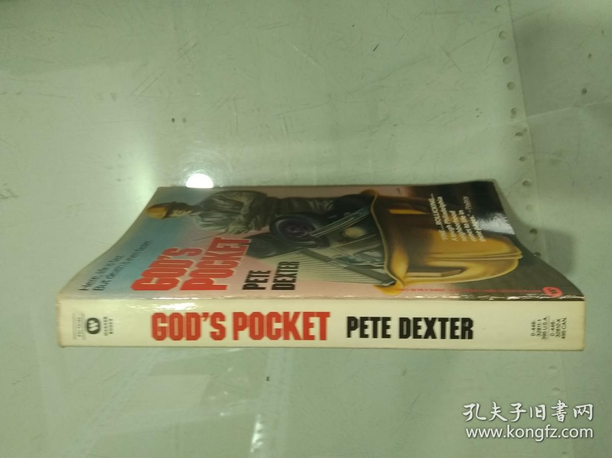 GOD'S POCKET PETE DEXTER