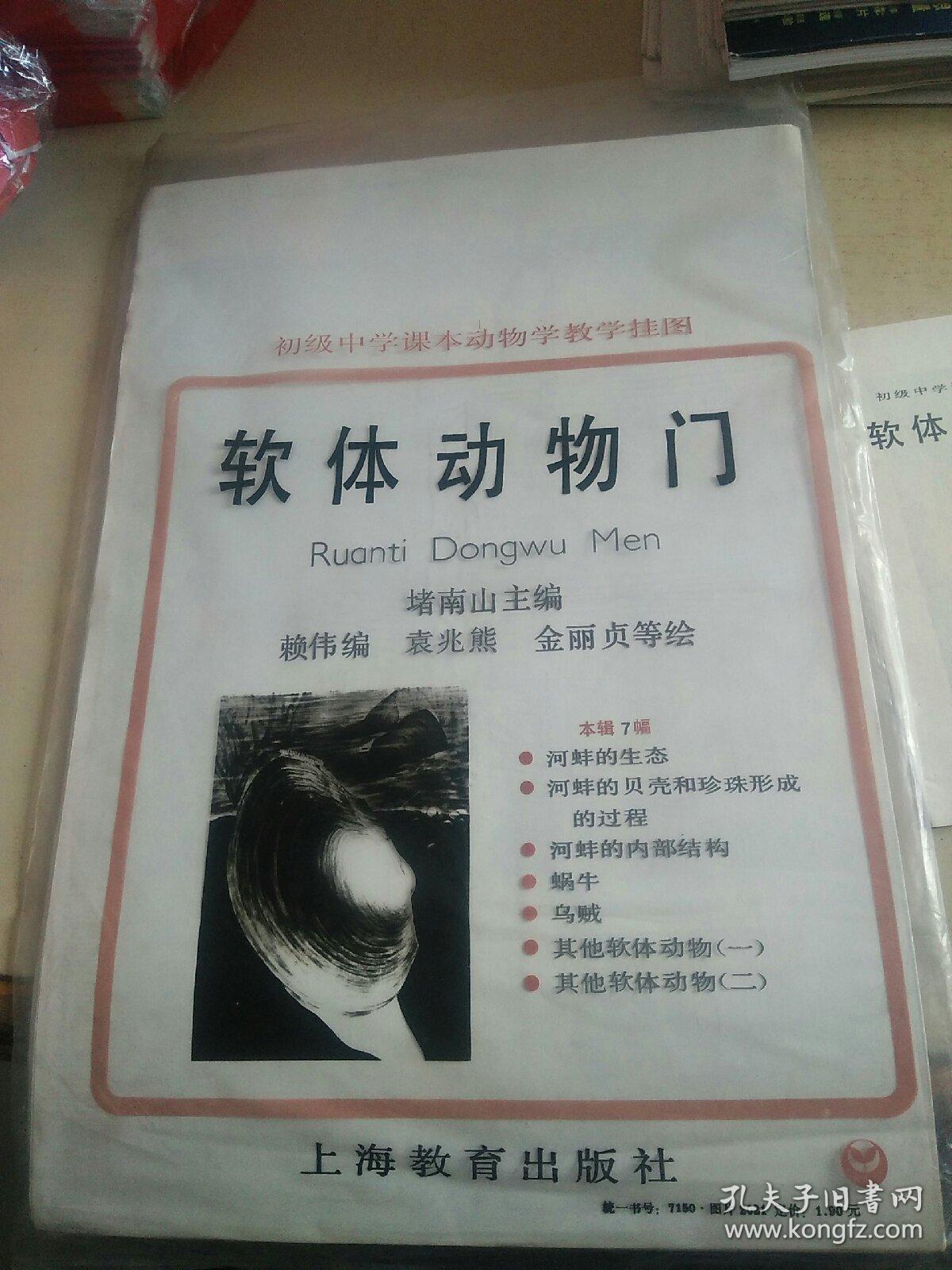 初级中学课本动物学教学挂图  软体动物门（原袋品佳！7幅全+说明）