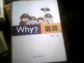 WHY?岩洞（彩色连环画，16开）