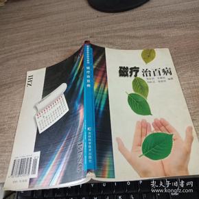 磁疗治百病  新版家庭白皮书系列