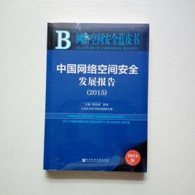 网络空间安全蓝皮书：中国网络空间安全发展报告（2015）