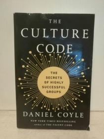 文化密码：成功群体的秘密 The Culture Code: The Secrets of Highly Successful Groups by Daniel Coyle （管理学）英文原版书