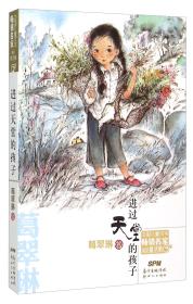 进过天堂的孩子-中国儿童文学畅销名家精品童话集