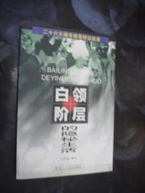 白领阶层的隐秘生活:二十六大城市戒毒所访谈录