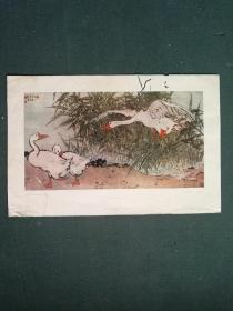 8开，1956年，名家绘画，碧晚亲湖