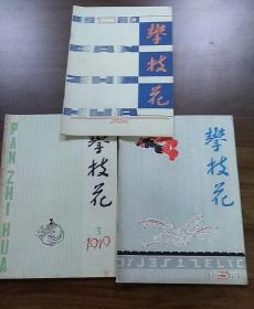 攀枝花（双月刊）.1979年第3.5期,1980年第1期,三本合售