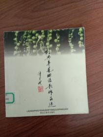 刘兴平艺术摄影作品选