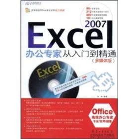 Excel 2007办公专家从入门到精通（多媒体版）