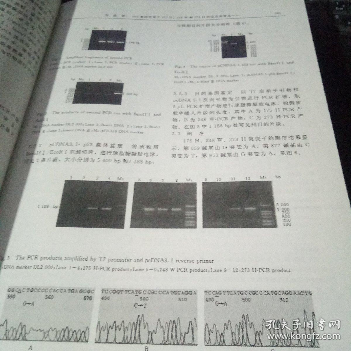 吉林大学学报 医学版