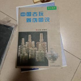 中国古玩辨伪图说