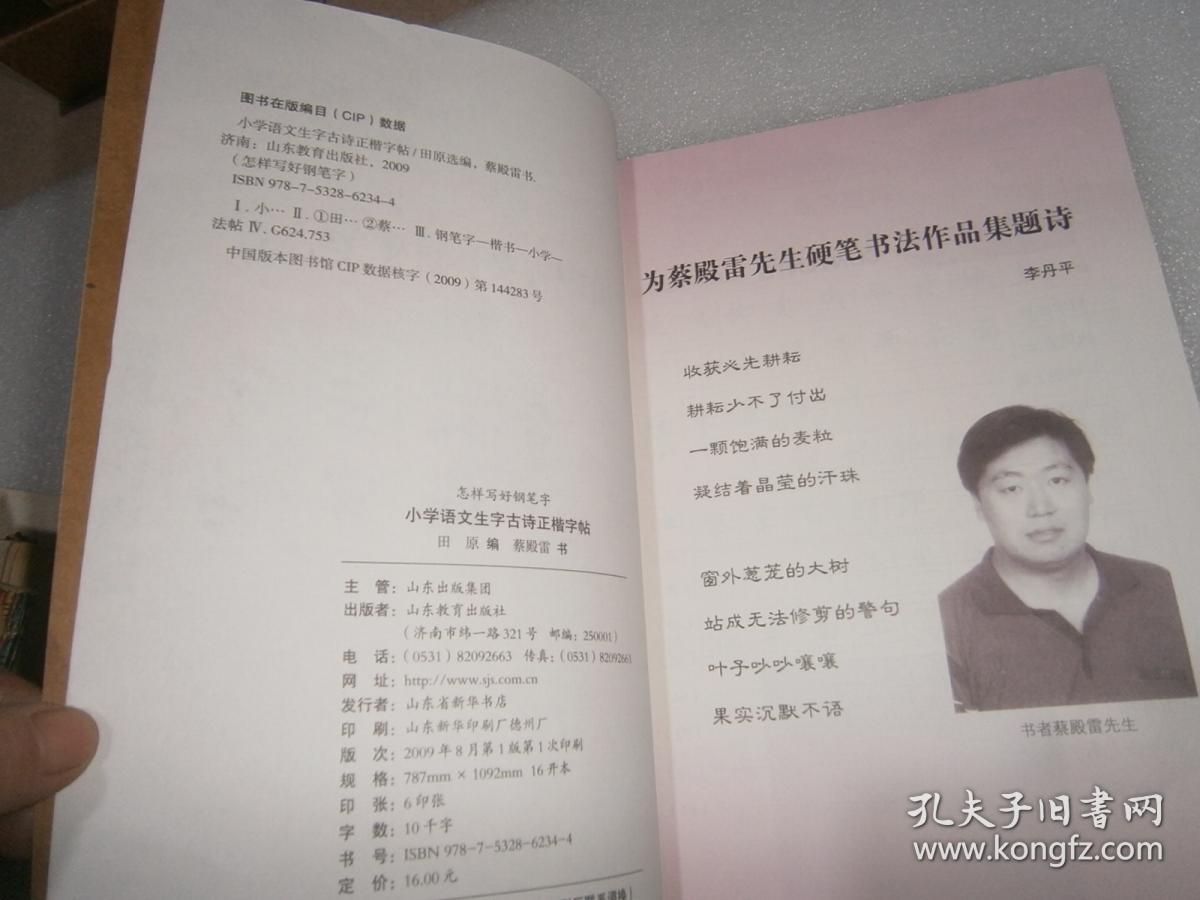 怎样写好钢笔字 小学语文生字古诗正楷字帖  AF238