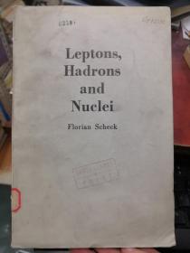 leptons,hadrons and nuclei（货号：H124）
