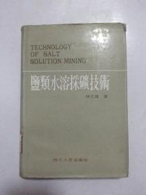 盐类水溶采矿技术