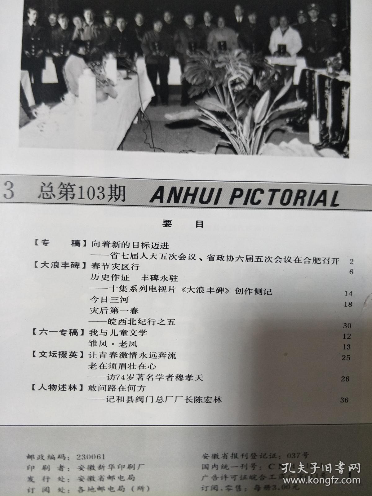 《安徽画报》 199203，大浪丰碑创作侧记，访穆孝天，记和县阀门厂陈宏林专题 等！