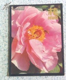 花 16开上海植物园编 铜版纸全彩印 上海人民美术出版1983年1版1印.江浙沪皖满50元包邮快递！