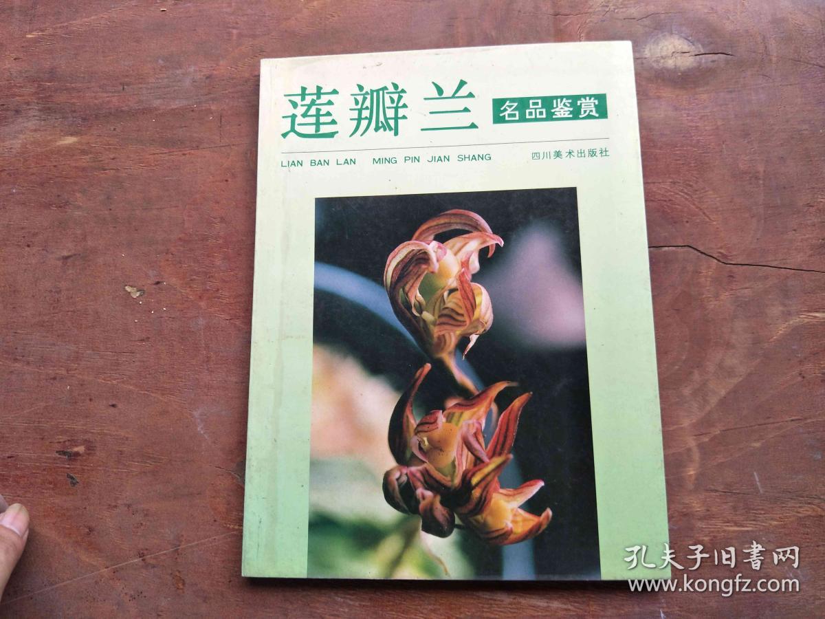 莲瓣兰名品鉴赏