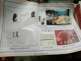 义务教育课程标准实验教材配套挂图《中国历史》七年级上册。全套28张对开彩色大图，不缺页