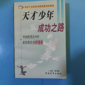 天才少年成功之路（中国优秀青少年素质教育分析报告）