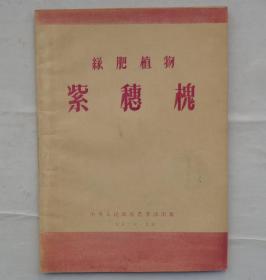 金陵大学校友杨老先生藏    绿肥植物紫穗槐   货号：第32书架—B层