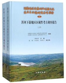 浑河下游地区区域性考古调查报告（套装上下册）/河套地区先秦两汉时期文化生业与环境研究系列报告