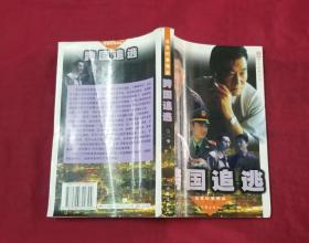 跨國(guó)追逃:反貪紀(jì)事精品