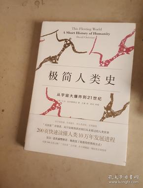 极简人类史：从宇宙大爆炸到21世纪