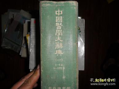 中国医学大辞典（一册）