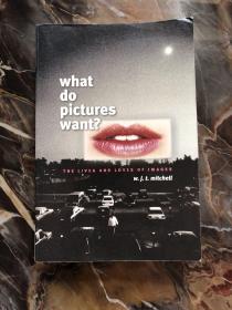 what do pictures want？