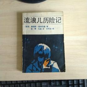 流浪儿历险记  （1版1次.5250册）