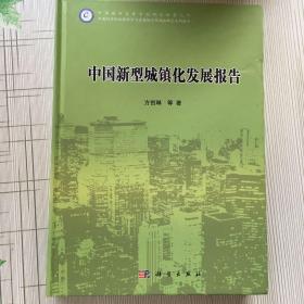 中国新型城镇化发展报告