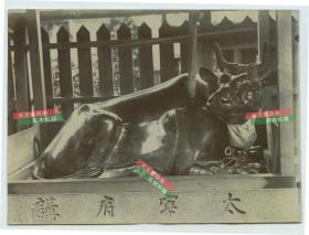 清代江苏江阴太宁府（讲习所？）铜牛雕塑雕像老照片，背面有XX.太宁府，扬子江外文字样