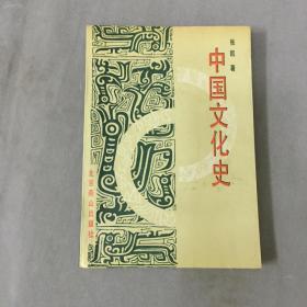 中国文化史      北京燕山出版社