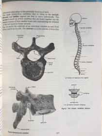 英文原版书Modern Certificqte Biology （朗文版现代生物学）