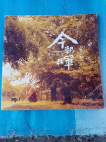邳州旅游今朝晖