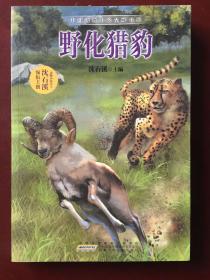野化猎豹