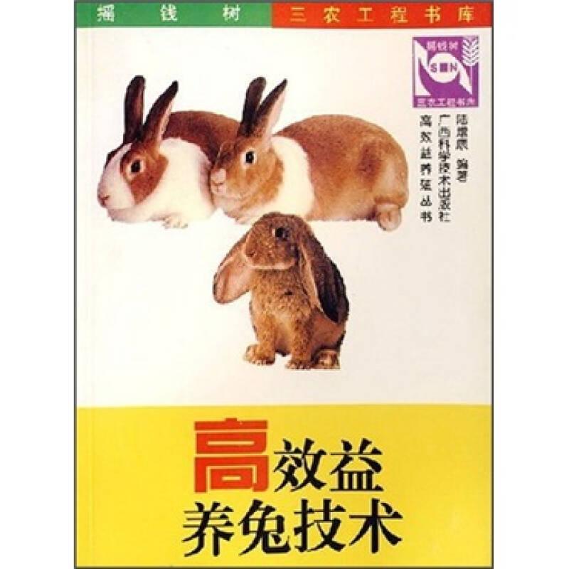 高效益養(yǎng)兔技術(shù)