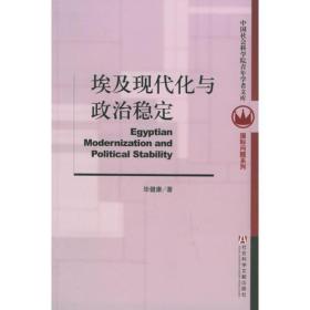 埃及现代化与政治稳定——中国社会科学院青年学者文库·国际问题系列