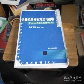 计量经济分析方法与建模：数量经济学系列丛书