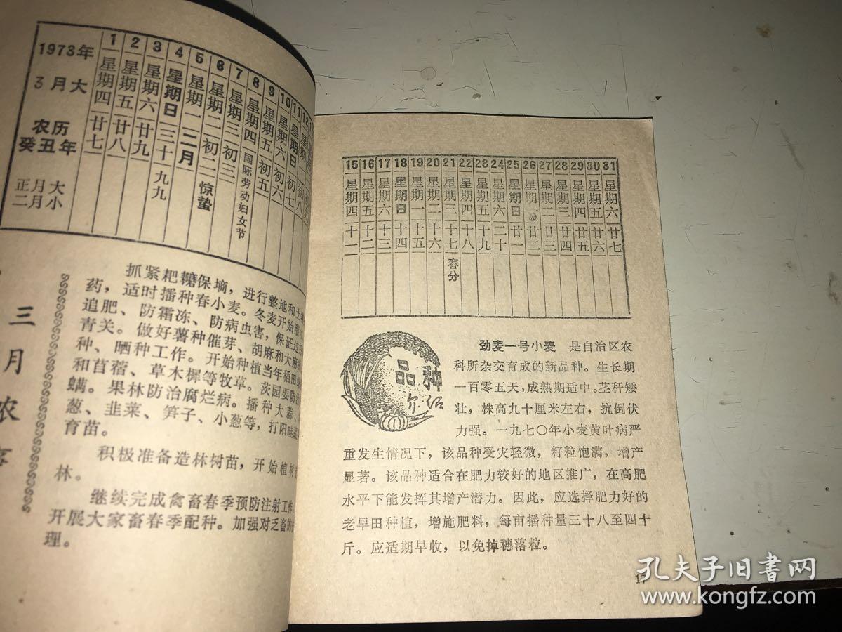 1973年农历 宁夏版少见