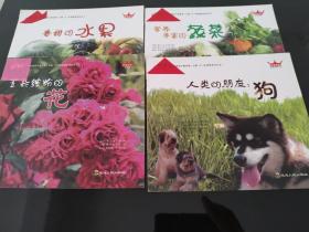 韩国家庭亲子教育第一方案0-3家教系列丛书自然系列