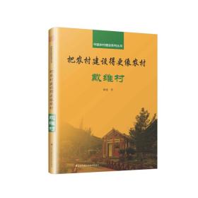 把农村建设的更像农村:戴维村