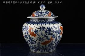 明嘉靖年制青花矾红鱼藻纹盖罐