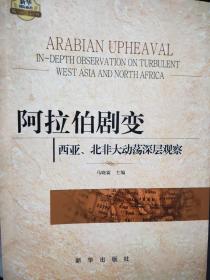 阿拉伯剧变：西亚、北非大动荡深层观察